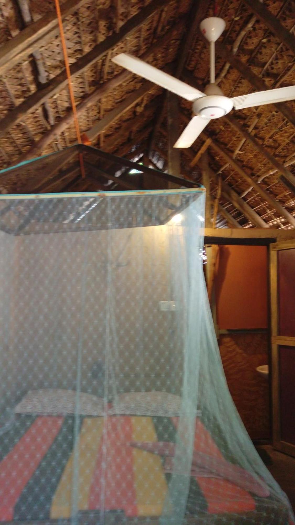 Beach Hut Arugam Bay Rum bild